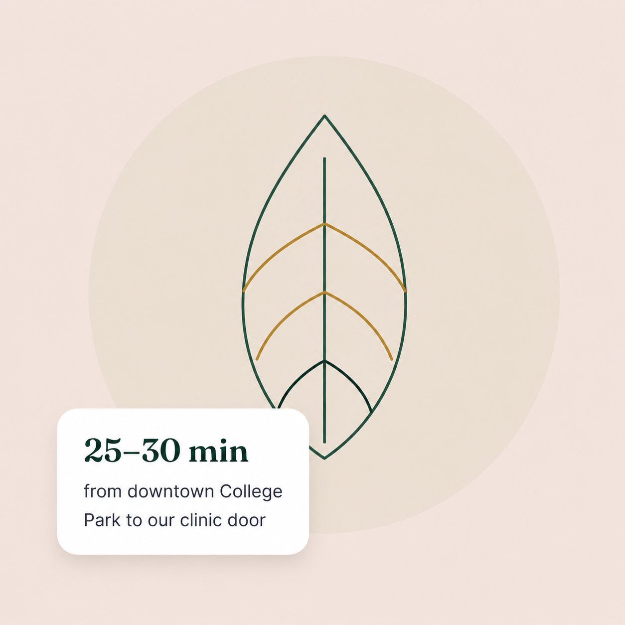 Vida Wellness Care clinic in College Park, GA offering wellness, BHRT, weight loss, and aesthetic treatments