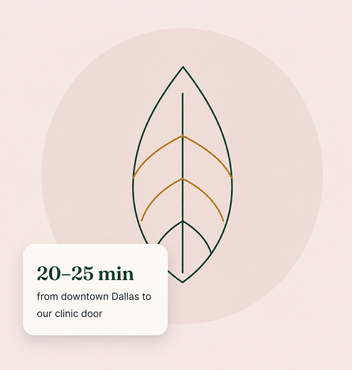Vida Wellness Care clinic in Dallas, GA offering wellness, BHRT, weight loss, and aesthetic care