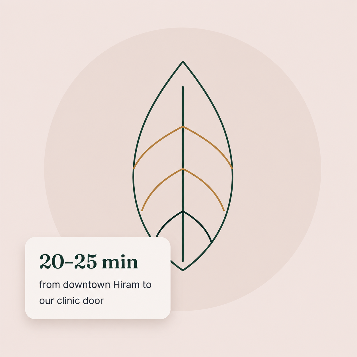 Vida Wellness Care clinic in Hiram, GA offering wellness and aesthetic treatments